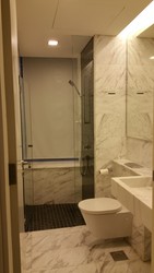 Newton One (D11), Condominium #177919872